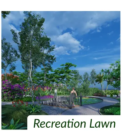 Recreation-Lawn.webp